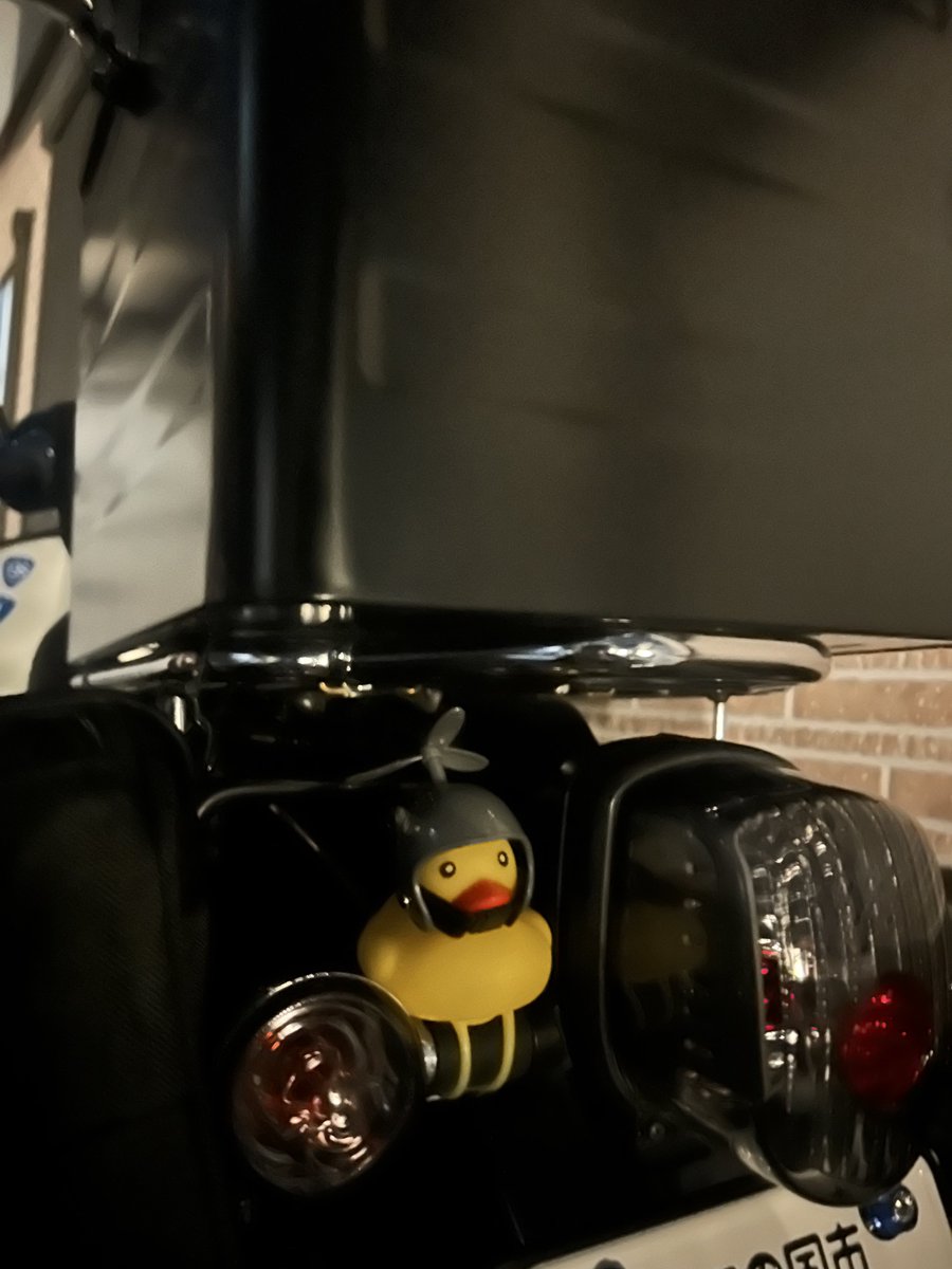 DAISO行ったらまだあったので買った
ちょっと可愛いな