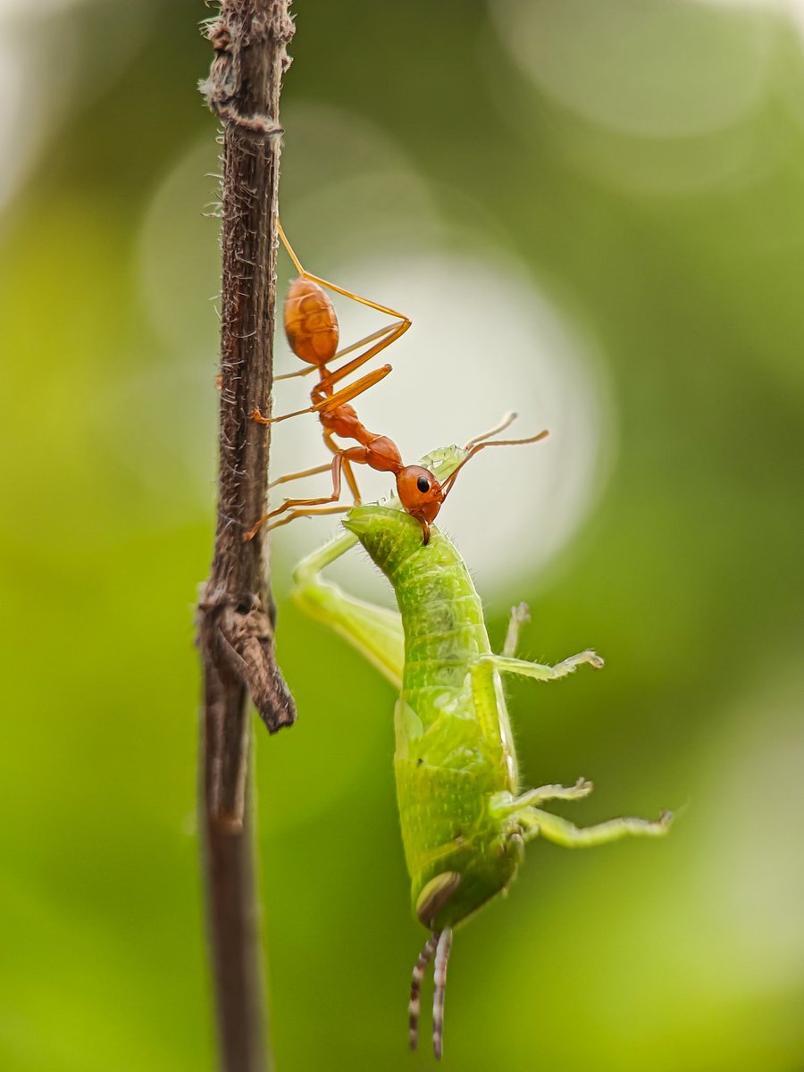 TechWiser's tweet image. Hello #TeamTechWiser 🙌
The pics you all posted with #Shot4TW are straight fire🔥
We know, we’re a bit late cuz it was so hard to pick a winner, and after a lot of sus banters, we finally did!

The winner of the #Shot4TW photography contest is
🥁 🥁 🥁  Ajeesh @Ajeesh021997  🎉…