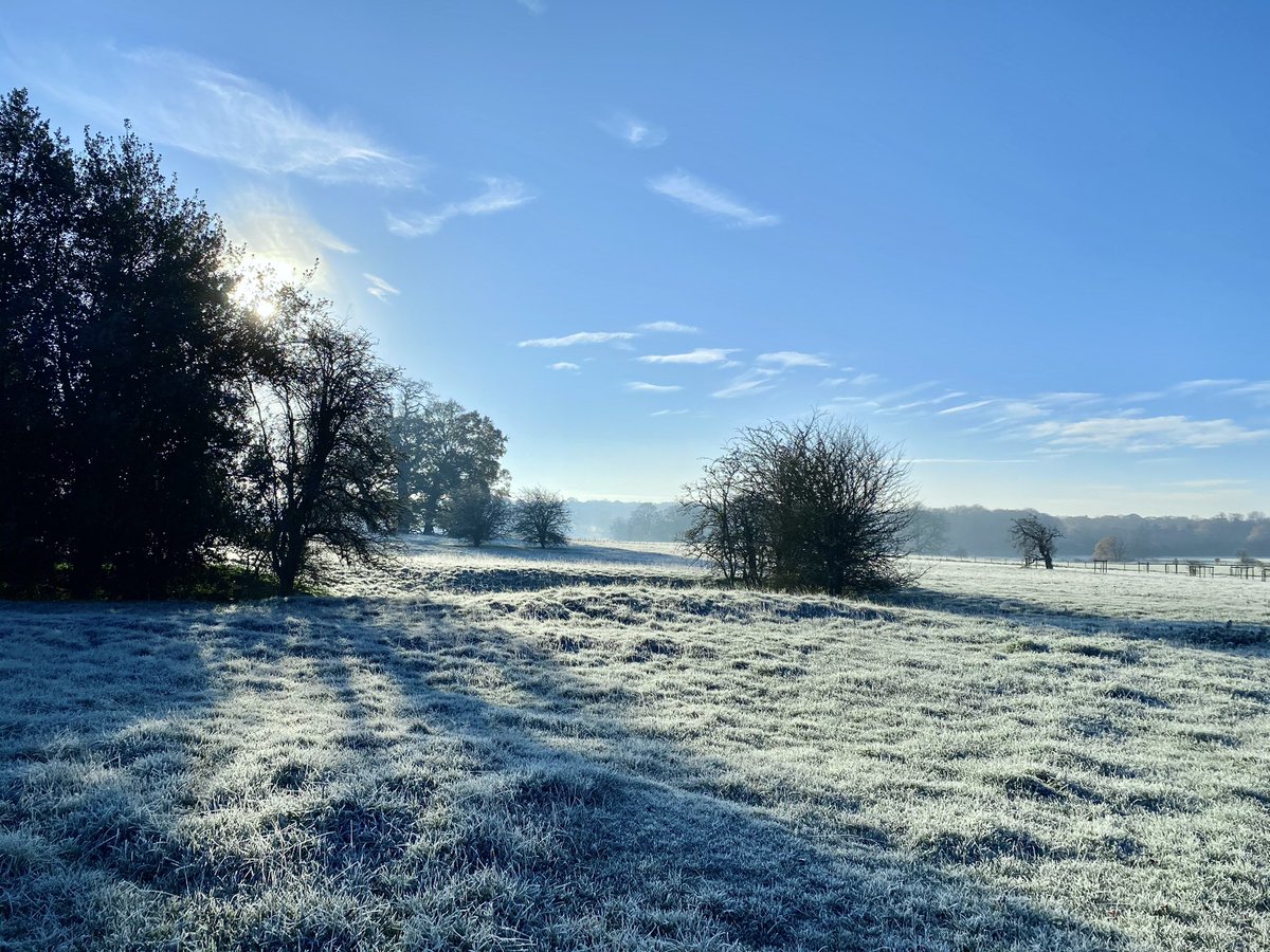 5wordspoet tweet media