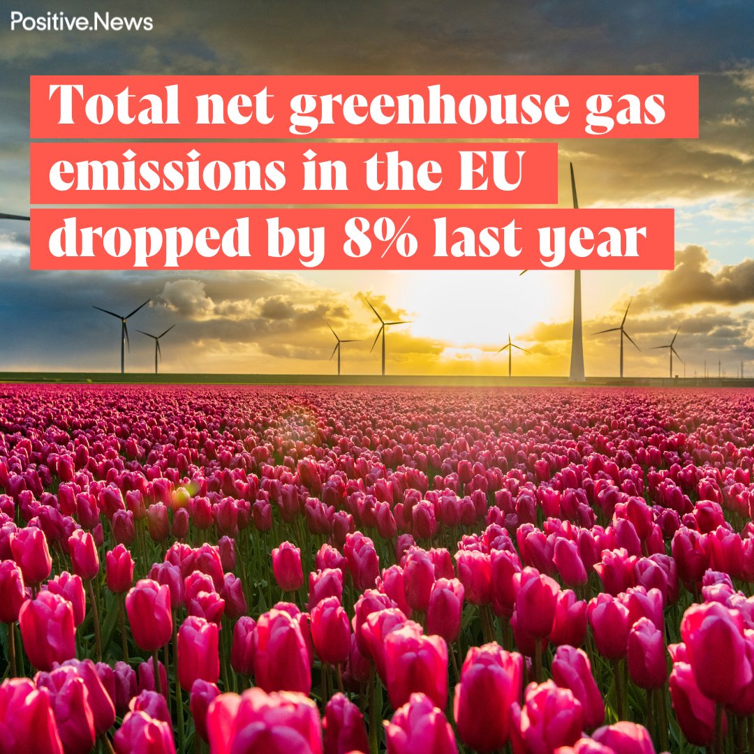 The drop is close to that recorded in Europe at the start of the Covid-19 pandemic, when flights were grounded and factories shut
positive.news/society/total-…