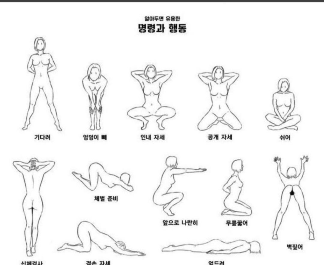 경산 재미없다
#섹트 #멜돔 #종변