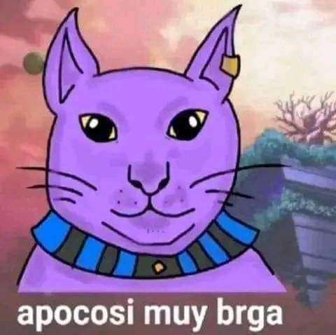 Monkey♪~ ᕕ(ᐛ)ᕗ tweet media