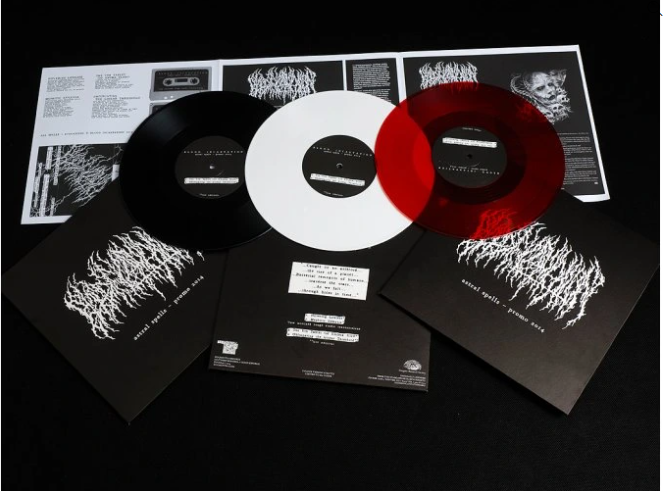 _Livestrong_'s tweet photo. Fellow collectors, this might be of interest for you:
#bloodincantation #promovinyl #astralspells
black & white vinyl is still available, lim. to 666 copies each
https://t.co/kgr6QDK9pR https://t.co/tPdU7CU1hx