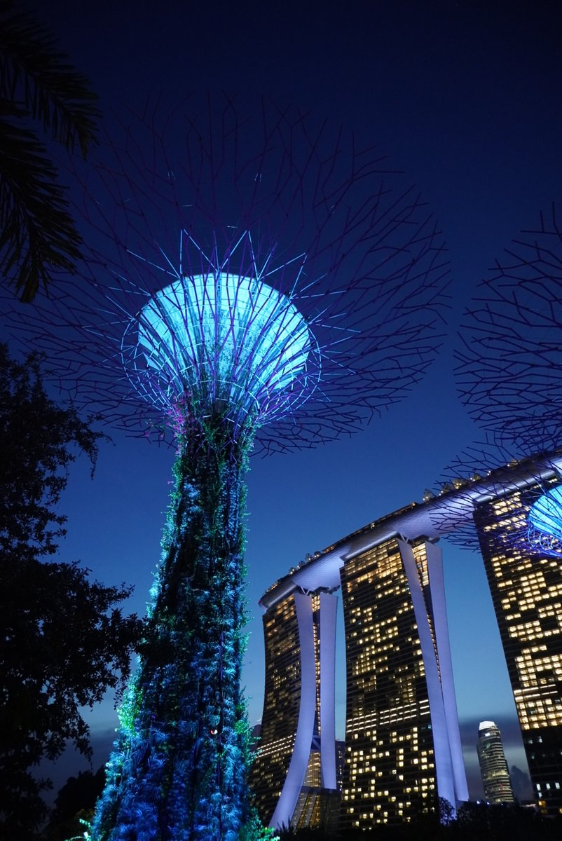 Henry J Lyons tweet media