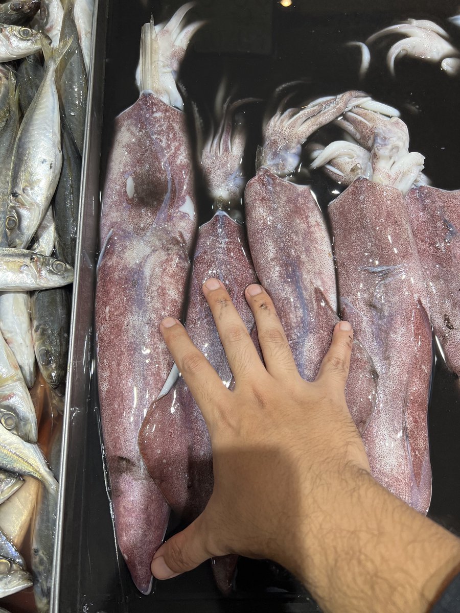Asraflah's tweet photo. Sotong besar bas, untuk 5 ekor berapa ringgit?
Jawapan yang tepat aku bagi manis manis.

Jawab sekali dengan QR https://t.co/HtGcXDpcx3
