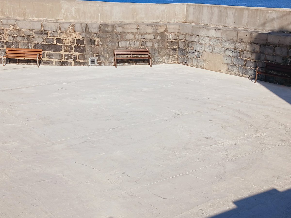 Podemos Castro tweet media