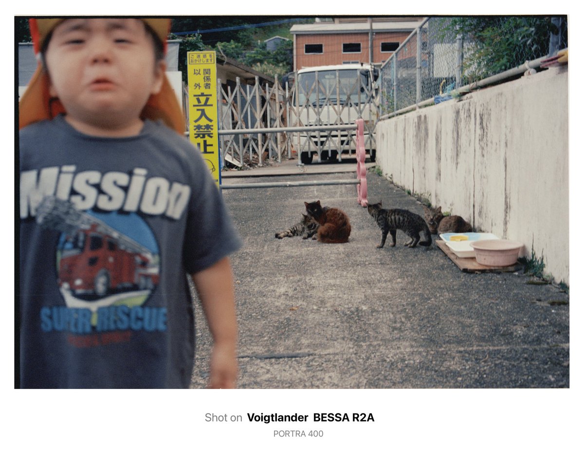 猫以外立入禁止。