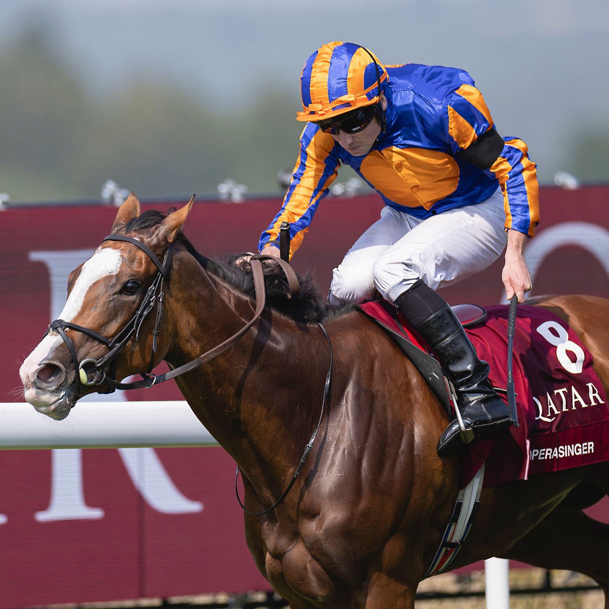 💰 Ramatuelle (bought for $5.1million by Coolmore) and Opera Singer set for dates with Wootton Bassett

“We had to retire Opera Singer as well, so I think what we will do is send the two of them to Wootton Bassett next year."