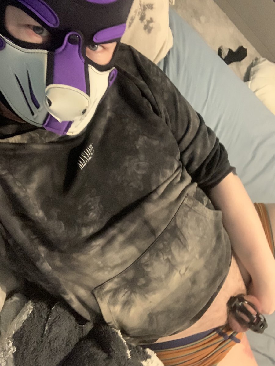 PupNeko's tweet photo. Cage check for the start of NNN, apparently Locktober wasn't the end of me being a good boy! A certain someone told me I need to stay caged for the remainder of the year and my horny brain agreed 😵‍💫 https://t.co/69ifqXAcZs