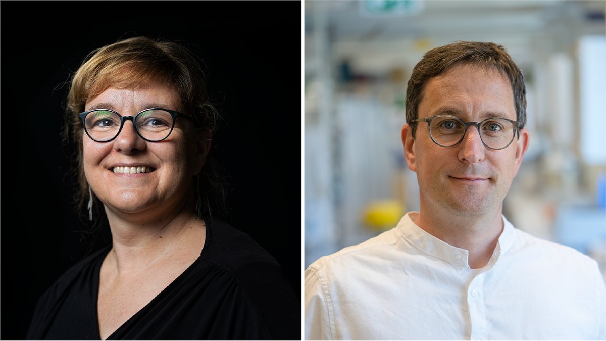 Umeå Plant Science Centre (UPSC) (@umeaplantsci) on Twitter photo Congratulations to @SRobertGroup and <a href="/microProteins/">Wenkel Lab</a> ! They are part of STARMORPH and RESYDE, two research consortia that are awarded with an #ERCSyG by <a href="/ERC_Research/">European Research Council (ERC)</a>!
Read more about STARMORPH and RESYDE here:
upsc.se/about-upsc/new… Congratulations to @SRobertGroup and <a href="/microProteins/">Wenkel Lab</a> ! They are part of STARMORPH and RESYDE, two research consortia that are awarded with an #ERCSyG by <a href="/ERC_Research/">European Research Council (ERC)</a>!
Read more about STARMORPH and RESYDE here:
upsc.se/about-upsc/new…