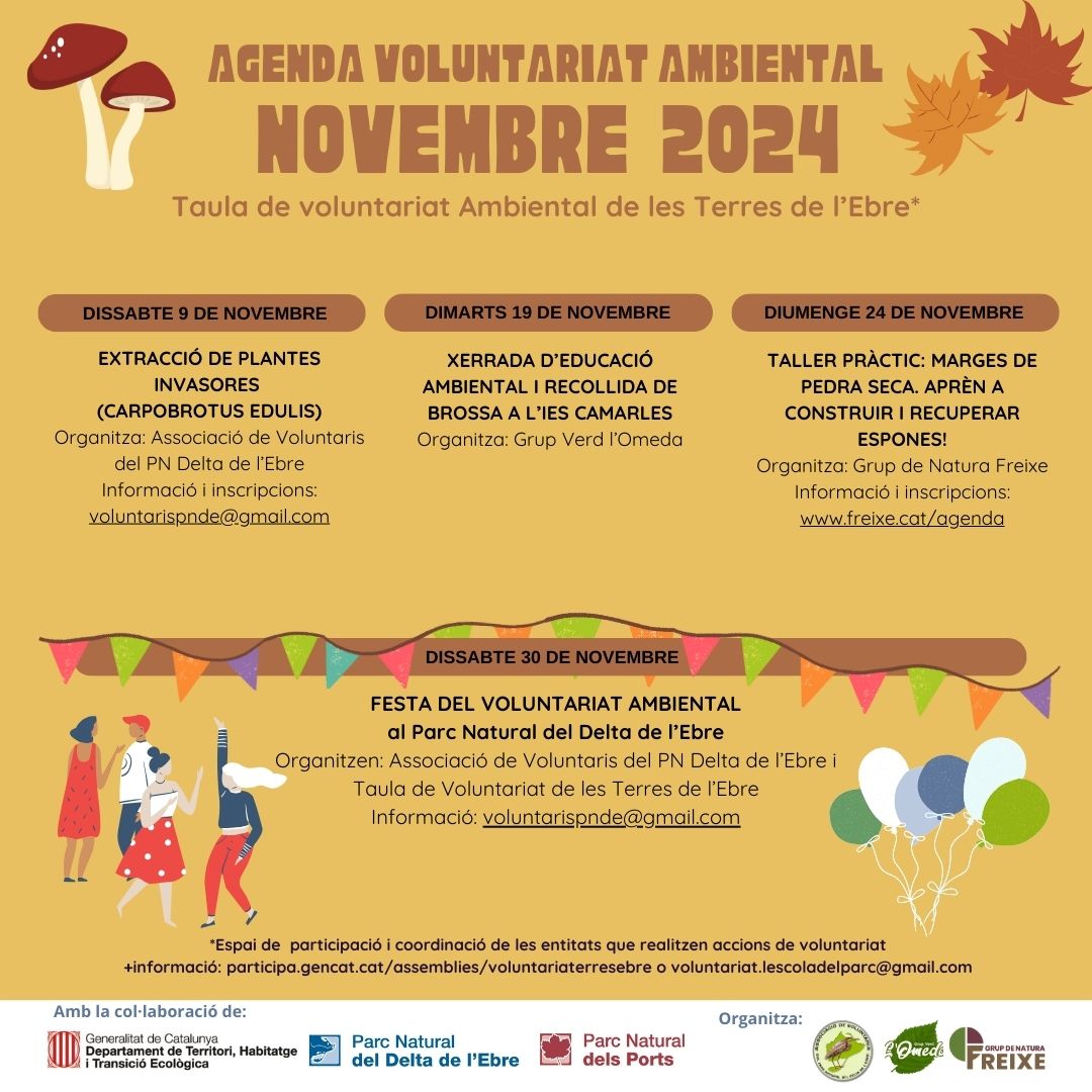 🦩I amb la Taula de #VoluntariatAmbiental de les Terres de l'Ebre tens moltes opcions: pots aprendre sobre pedra seca, extreure plantes invasores a la platja o recollir residus a l'entorn de l'IES Camarles. 👉I guarda't el 30 de novembre, que tindrà lloc la Festa del Voluntariat!