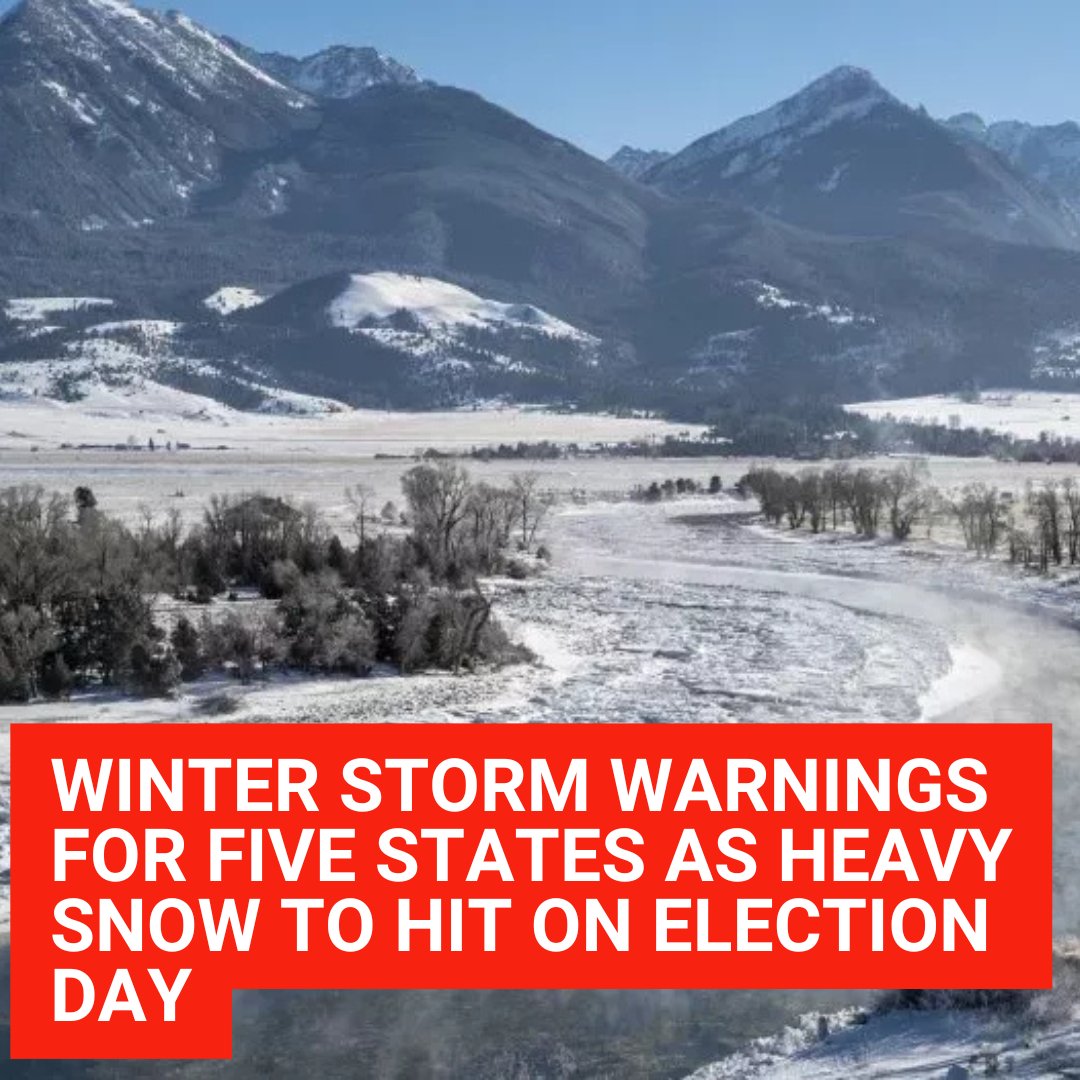 Newsweek tweet media