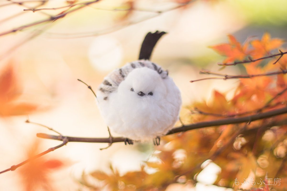 🧸もふもふ工房🧸公式🧸 on X