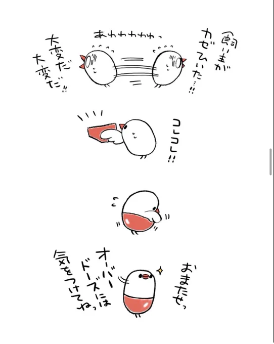 風邪にはぶんちょカプセル(再掲) 