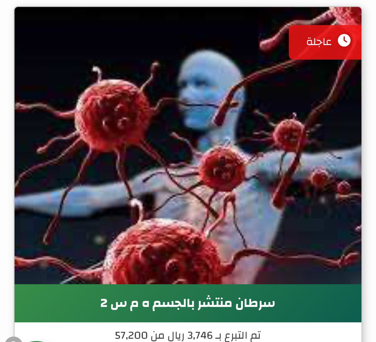 قولوا لا إله إلّا الله tweet media