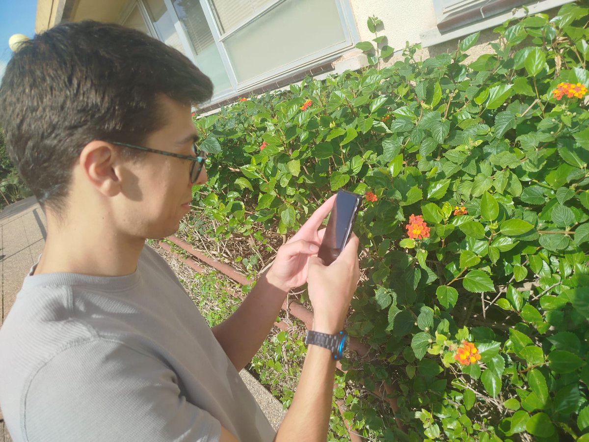 🚂✨ Puja al Tren de Sóller i acompanya'ns a Ciència a Tot Tren! Aquest dissabte en Biel Arbona donarà una xerrada informativa sobre Invasapp, l'aplicació per identificar espècies invasores 🐞🌱.

📅 No t'ho perdis i aprèn com protegir la biodiversitat! #CienciaATotTren #Invasapp