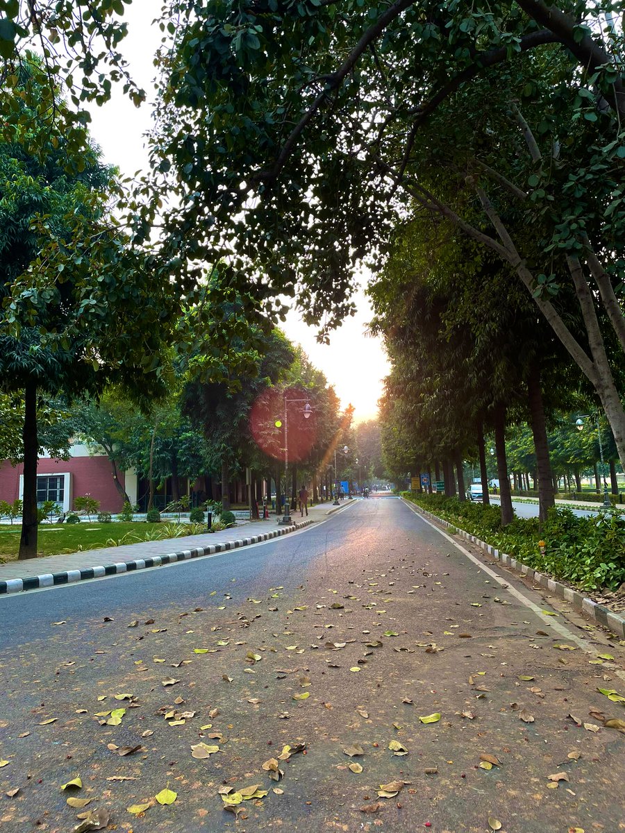SaniyaIrfan7's tweet image. Delhi in its best weather of the year rn 💕 apt for evening study dates and walks on campus 
#iitd