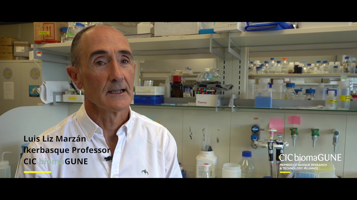 CIC biomaGUNE (@cicbiomagune) on Twitter photo 🎉We're celebrating!
<a href="/Ikerbasque/">Ikerbasque</a> Prof Luis <a href="/LizMarzan_Lab/">BioNanoPlasmonicsLab</a>, @EmatSaraBals & @Kotov_group awarded a 9 M€ ERC Synergy Grant!
CHIRAL-PRO aims to design nanoparticles that recognize proteins combining AI and nanoscience
👉cicbiomagune.es/node/42513
<a href="/uvigo/">Universidade de Vigo</a> <a href="/UAntwerpen/">UAntwerpen</a> <a href="/UMich/">University of Michigan</a> <a href="/CIBERBBN/">CIBER-BBN</a> 🎉We're celebrating!
<a href="/Ikerbasque/">Ikerbasque</a> Prof Luis <a href="/LizMarzan_Lab/">BioNanoPlasmonicsLab</a>, @EmatSaraBals & @Kotov_group awarded a 9 M€ ERC Synergy Grant!
CHIRAL-PRO aims to design nanoparticles that recognize proteins combining AI and nanoscience
👉cicbiomagune.es/node/42513
<a href="/uvigo/">Universidade de Vigo</a> <a href="/UAntwerpen/">UAntwerpen</a> <a href="/UMich/">University of Michigan</a> <a href="/CIBERBBN/">CIBER-BBN</a>