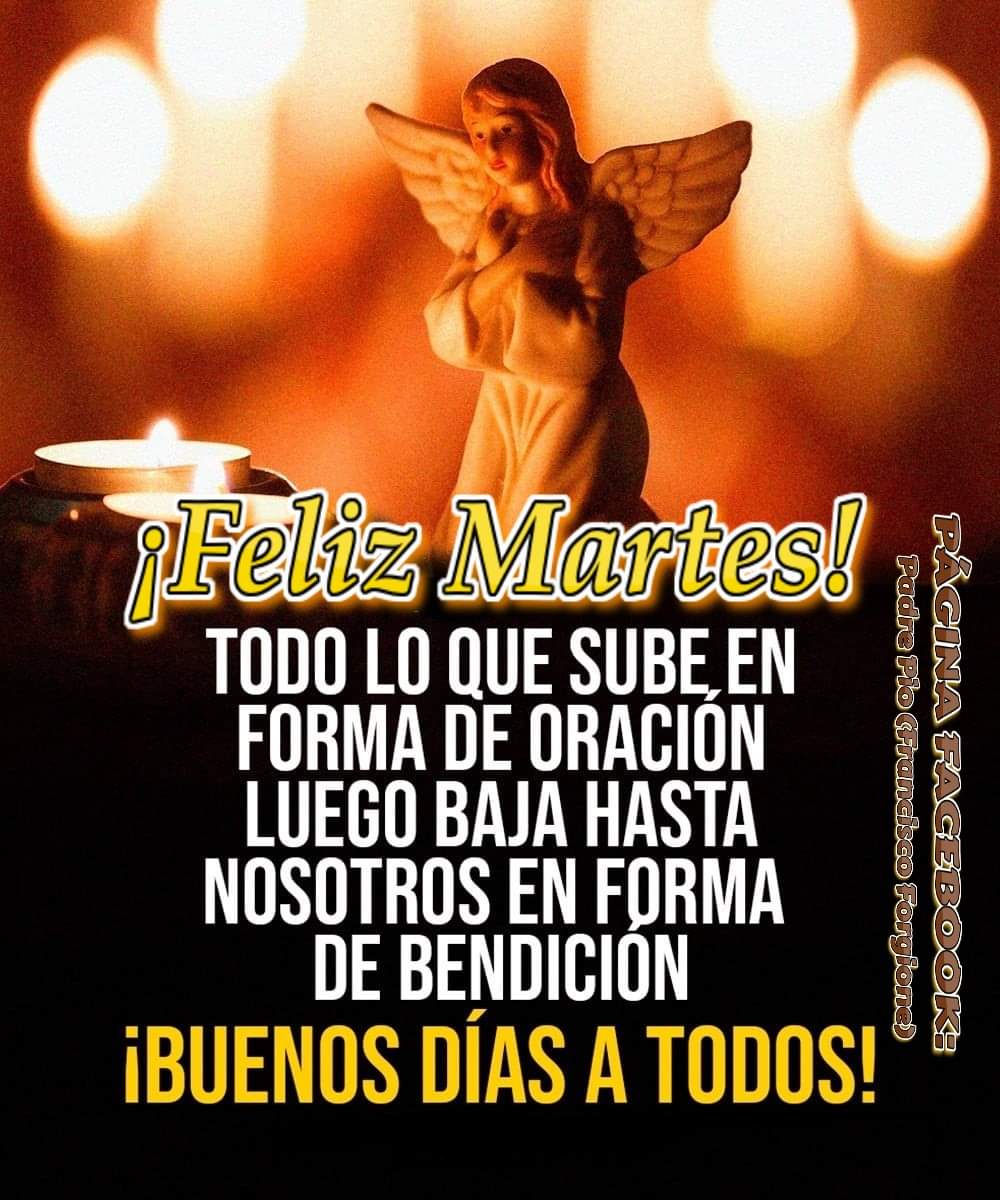 RuizHurtadoRE's tweet photo. #NOTENGAMOSMIEDO: JESÚS ES NUESTRO CAMINO, NUESTRA VERDAD Y NUESTRA VIDA..
"No tengamos miedo, que si rezamos mucho y tenemos confianza en Dios, todo los que nos suceda será para bien nuestro. #NoPerdamosLaFe."
-PADRE PIO- https://t.co/nFZD5bJ47j