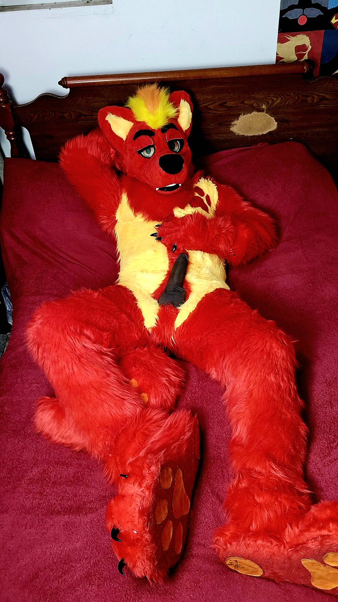 Well good morning puppy! Care to lay with Daddy? I got room for one more.. or u can sit on my lap😏