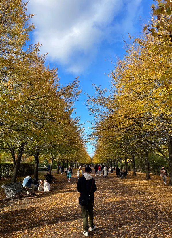No one can resist Regent's Park in autumn. The fallen leaves all over the ground turn it into a fairy tale world.