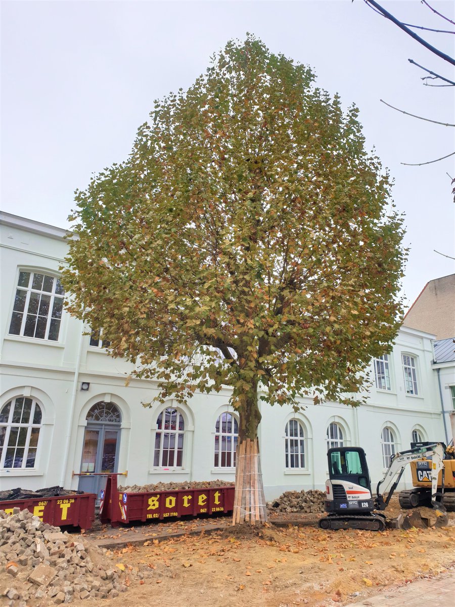 YvesRouyet's tweet photo. #Ixelles Comment transformer la sinistre cours de l'école n°7 à Boondael ?
👉 planter des arbres🌳
👉 installer des jeux et de la couleur🌈
👉 remplacer les dalles de béton par des pavés drainants 💧 (infiltration vs inondations)
👉 des arceaux🚲
(travaux en cours) https://t.co/evAu2kOKkB