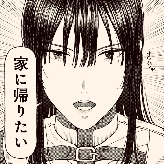 女騎士も家に帰りたい(0/2) 