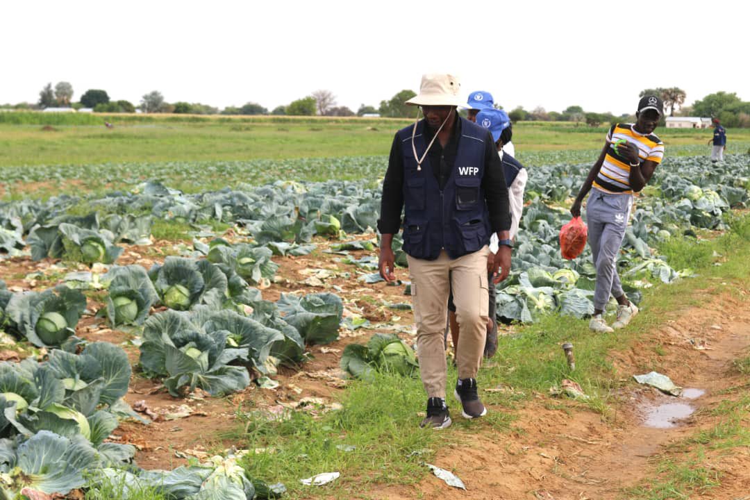 The last few months have been incredibly busy and busier times are ahead for the team at <a href="/WFPNamibia/">WFP Namibia</a>!

We activated our emergency response and mobilized over N$100 million to support the Government in reaching communities hardest hit by the drought with humanitarian assistance.