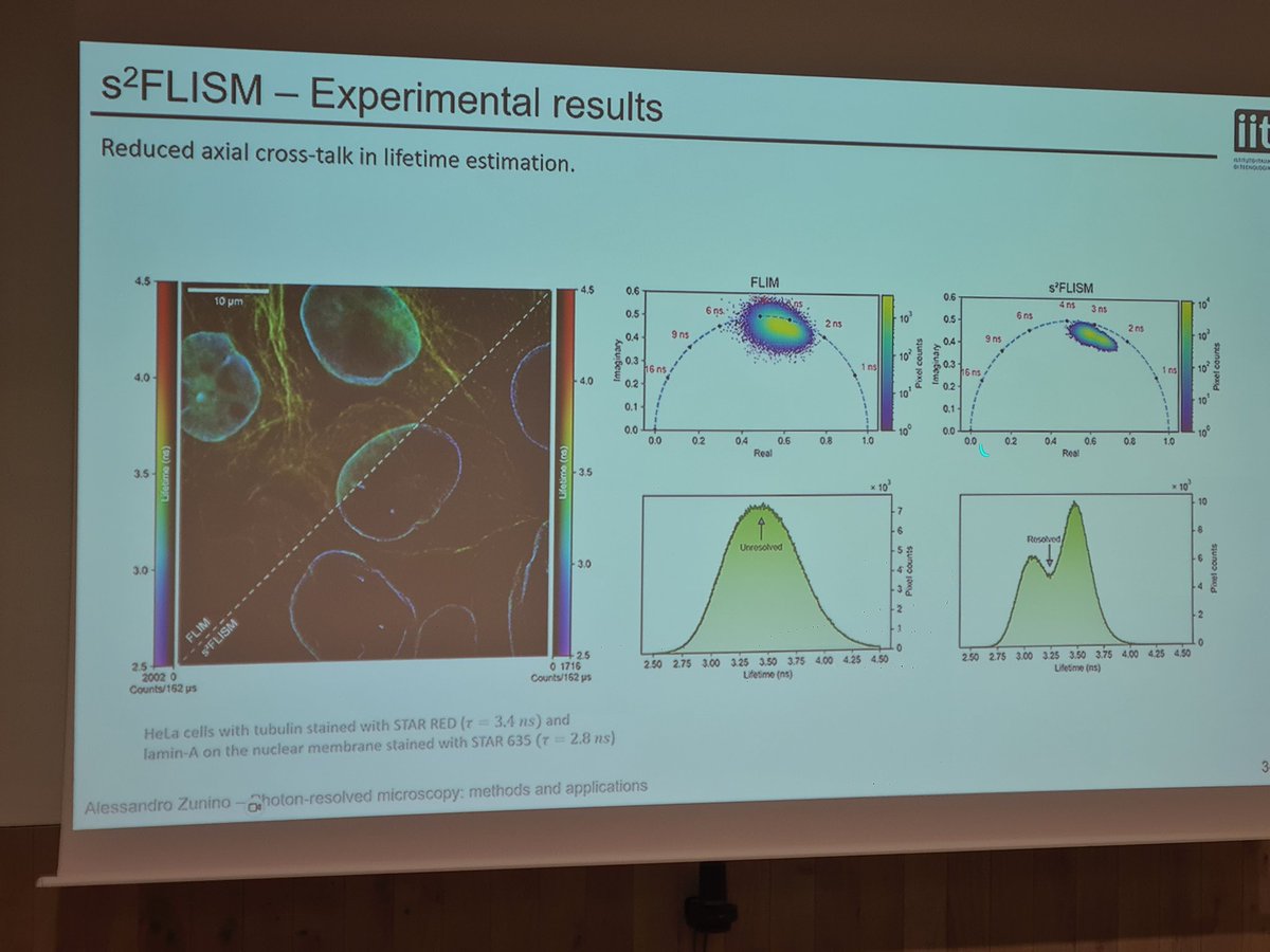 IMAG'IC (@imag_ic) on Twitter photo #ANF #UTMBFLIM
Photon-resolved microscopy : methods & applications by <a href="/ZuninoAle/">Alessandro Zunino</a> <a href="/VicidominiLab/">Vicidomini Lab</a>
<a href="/GDR_ImaBio/">GDR ImaBio</a>
<a href="/RTMFM1/">MFM_Microscopy</a> #ANF #UTMBFLIM
Photon-resolved microscopy : methods & applications by <a href="/ZuninoAle/">Alessandro Zunino</a> <a href="/VicidominiLab/">Vicidomini Lab</a>
<a href="/GDR_ImaBio/">GDR ImaBio</a>
<a href="/RTMFM1/">MFM_Microscopy</a>