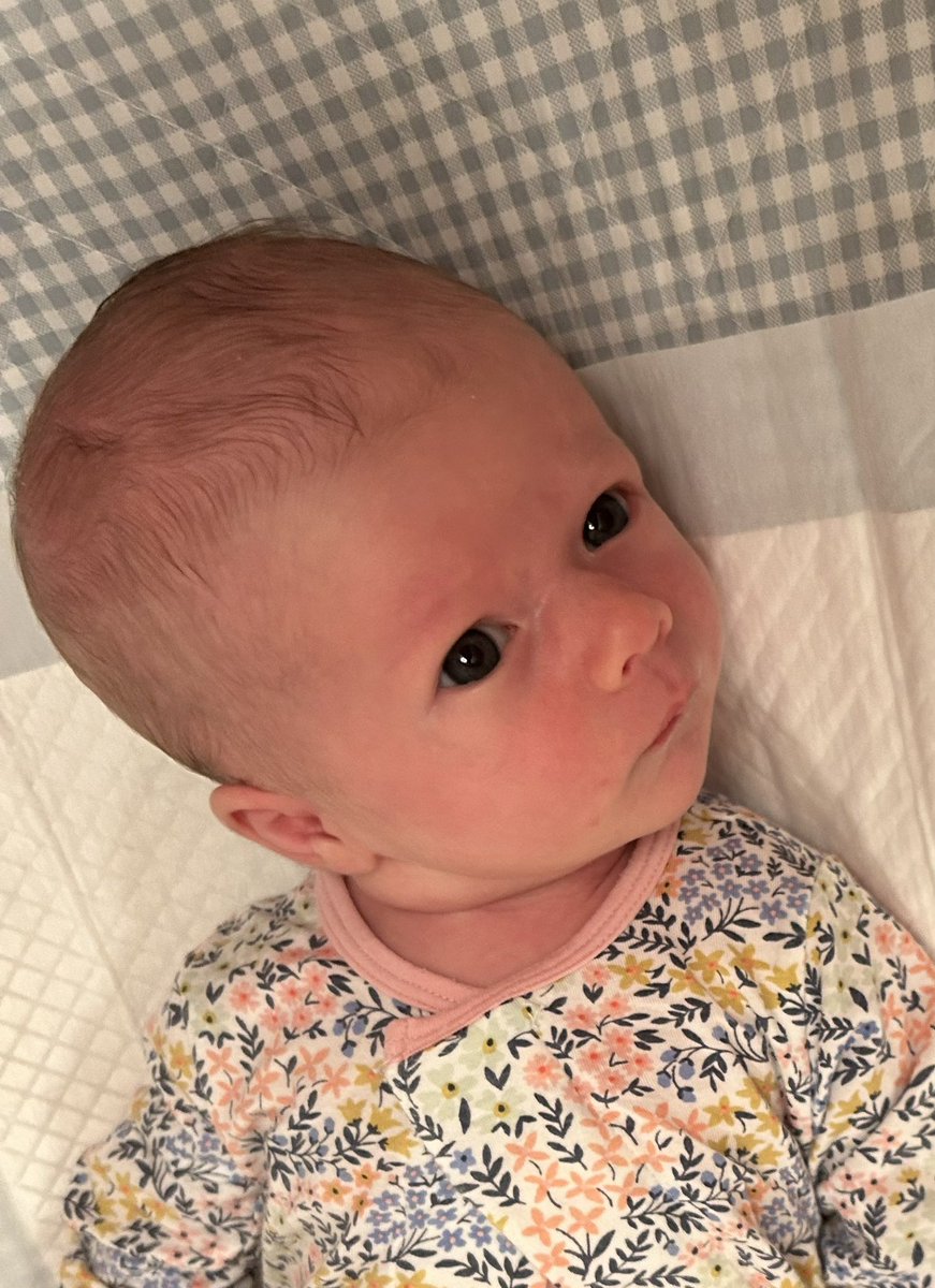 John McCormack tweet media