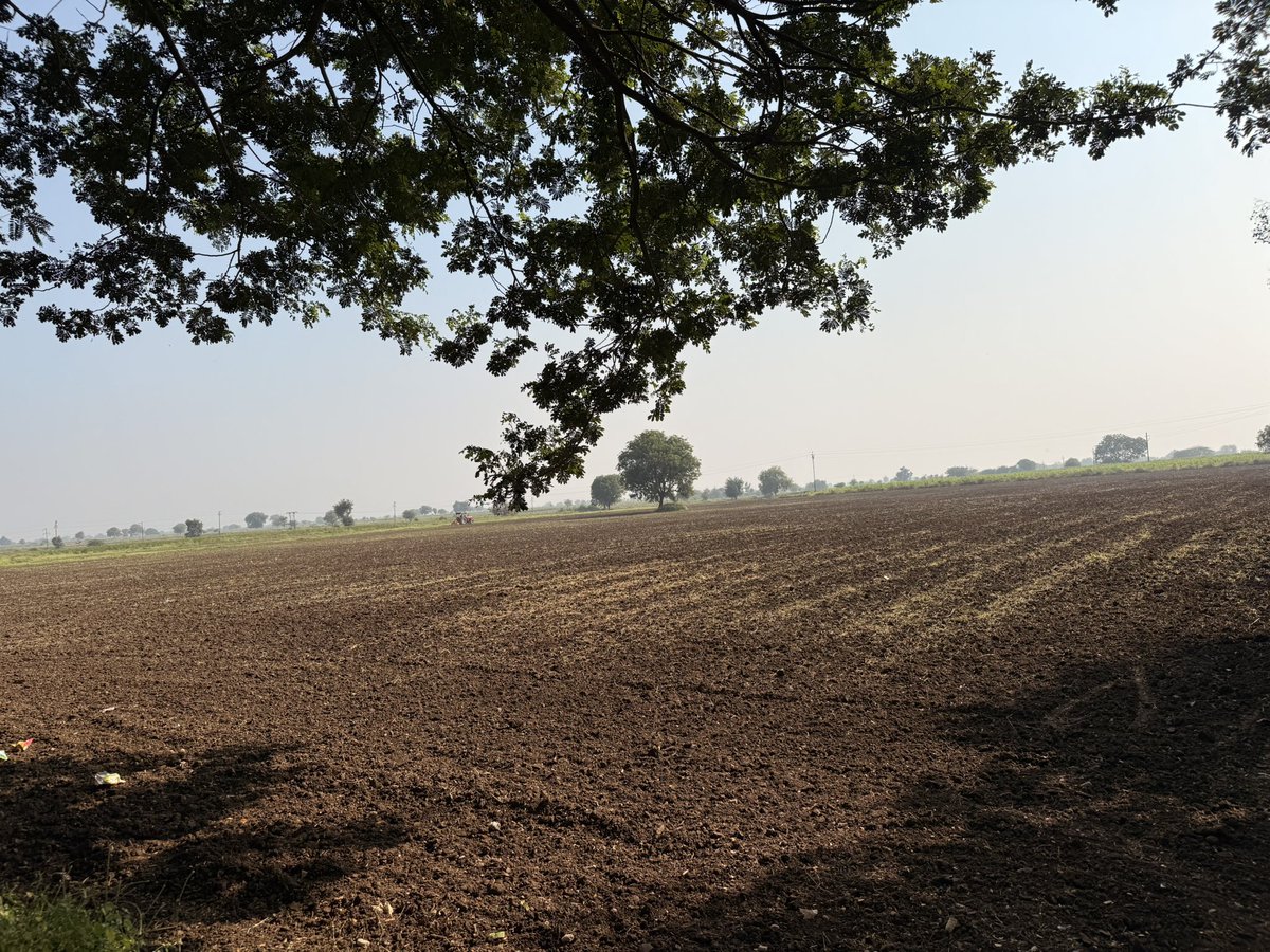 iEaryouMouth's tweet photo. even now, i can almost hear the rustling of the leaves and feel the dirt beneath my fingertips….
#ourfarm https://t.co/9PktkuL0OB