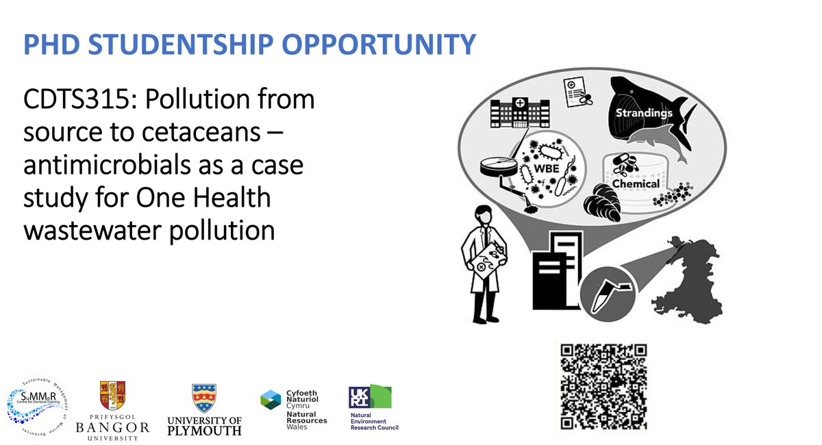 CDT SuMMeR (@cdt_summer) on Twitter photo 📢 Interested in how antibiotics in the marine environment can affect marine mammals and the ecosystem? Check out our funded #PhD opportunity with <a href="/Ellie__Jameson/">Dr Ellie Jameson</a> <a href="/BangorUni/">Bangor University</a>. Info about the project & how to apply can be found here tinyurl.com/CDT-SuMMeR-Stu…… 📢 Interested in how antibiotics in the marine environment can affect marine mammals and the ecosystem? Check out our funded #PhD opportunity with <a href="/Ellie__Jameson/">Dr Ellie Jameson</a> <a href="/BangorUni/">Bangor University</a>. Info about the project & how to apply can be found here tinyurl.com/CDT-SuMMeR-Stu……
