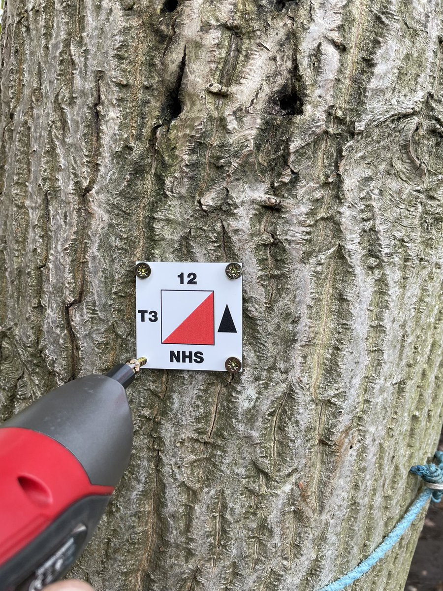 Orienteering for Schools tweet media