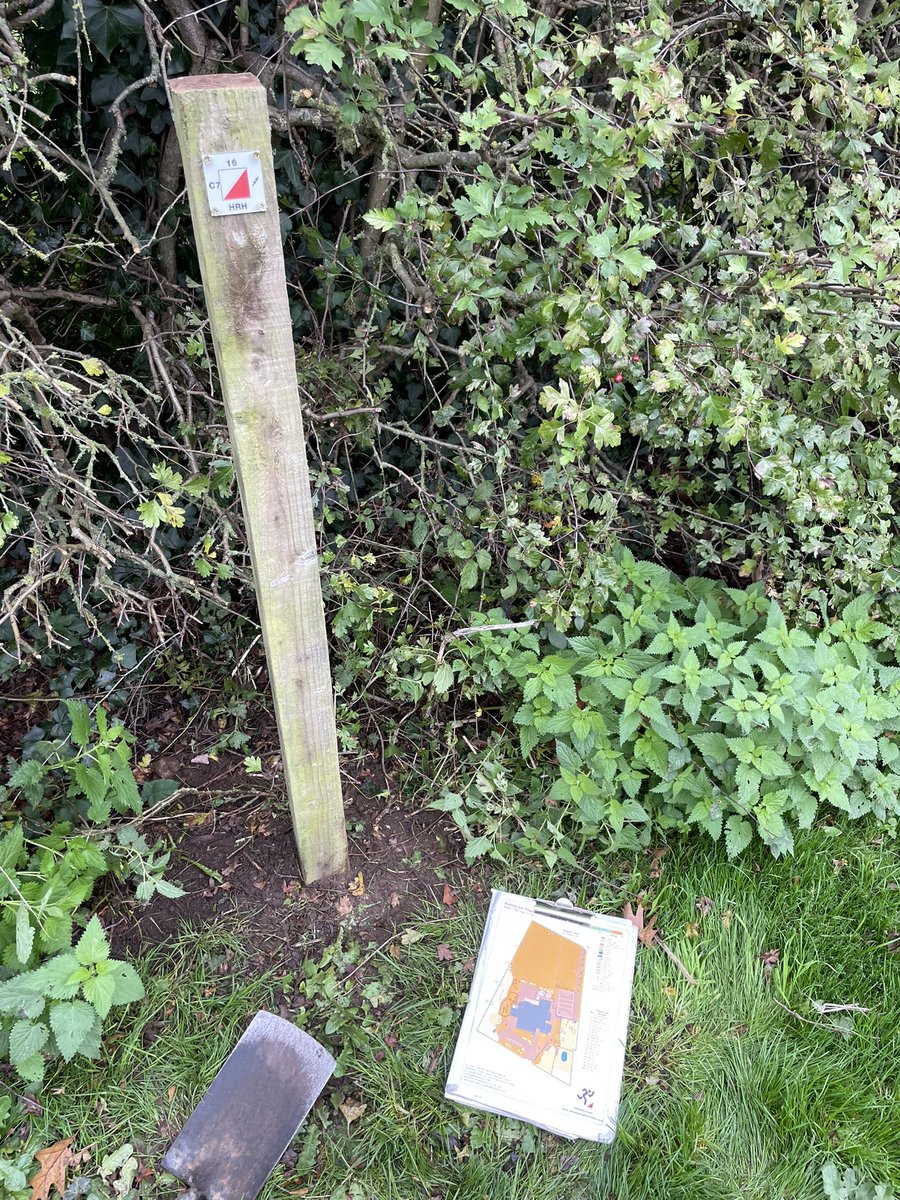 Orienteering for Schools tweet media