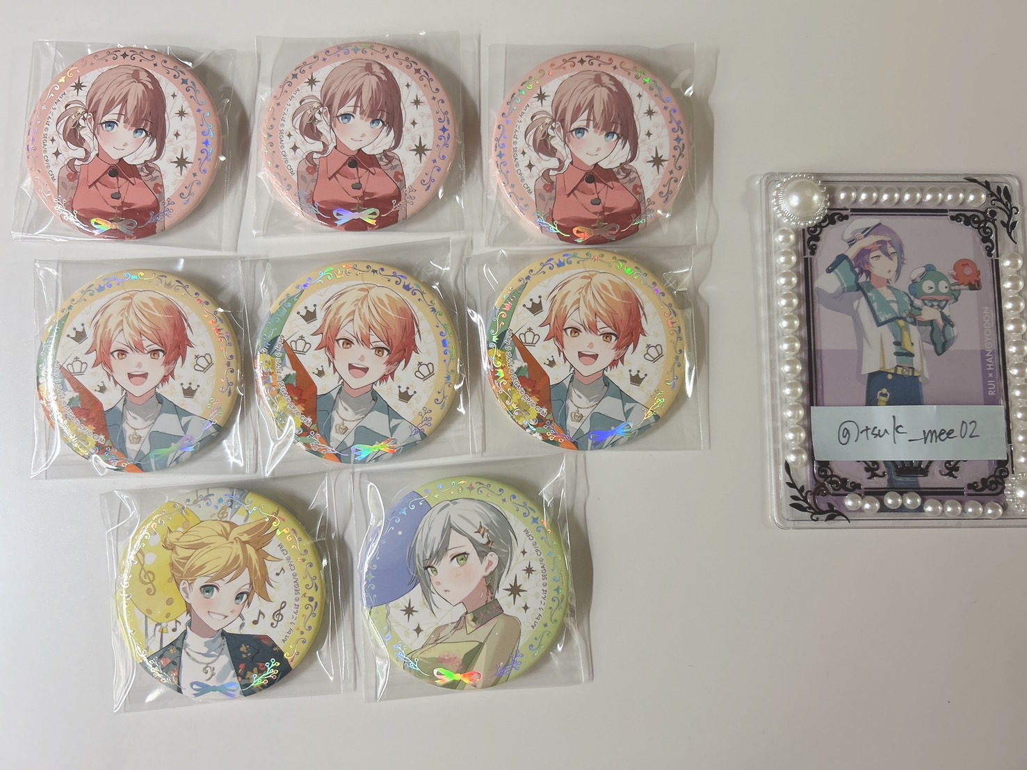 オーロラ箔押し缶バッジコレクション C（全10種）【単品