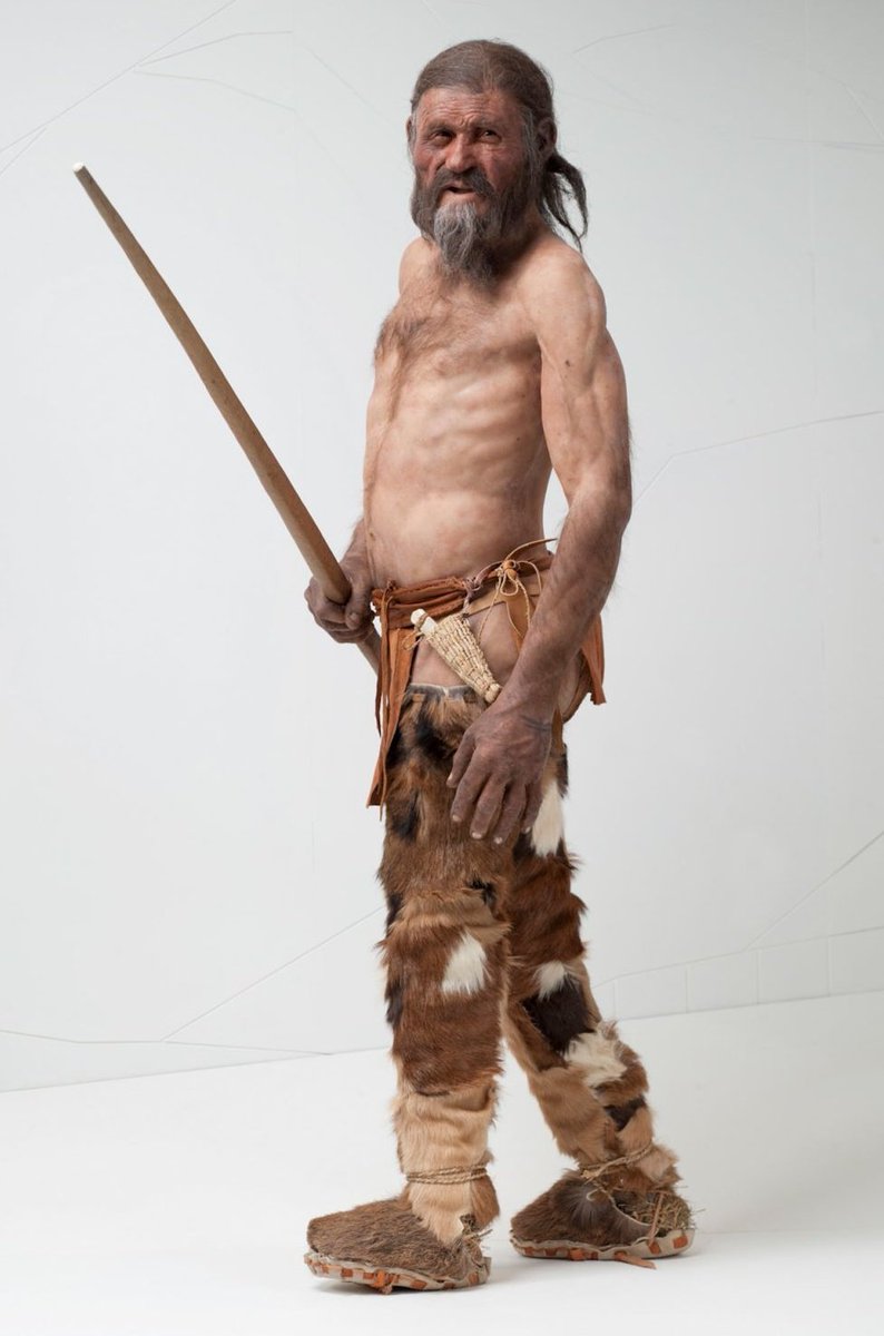 QUÉ NOS CUENTA UNA MUERTE DE HACE 5.000 AÑOS

Un hombre que cruzaba los Alpes en la Edad del Cobre (Calcolítico) hace más de 5.000 años, y cuya muerte nos ha abierto una ventana al pasado.

Esta es la historia –y violenta muerte– de Ötzi, la momia más antigua de Europa.

Un🧵👇🏼