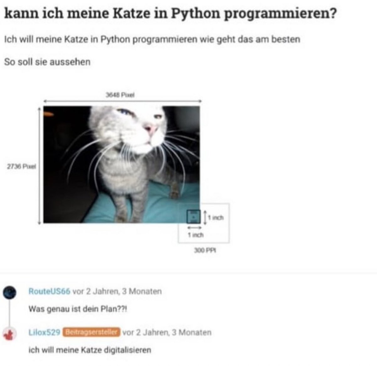 ketaknax's tweet photo. mal ne frage an die nerds https://t.co/obS67HWvxb