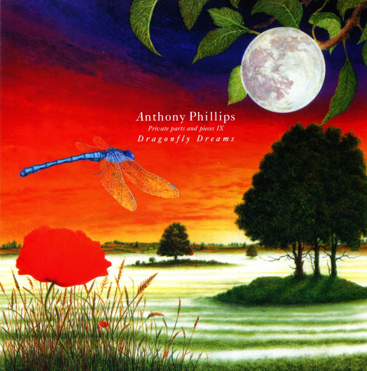 Released in November 1996, Dragonfly Dreams was the ninth volume in the Private Parts &amp; Pieces series. It includes the song She'll Be Waiting alongside tracks recorded in collaboration with Quique Berro Garcia and the 17 minute 12-string guitar piece Chinese Walls.