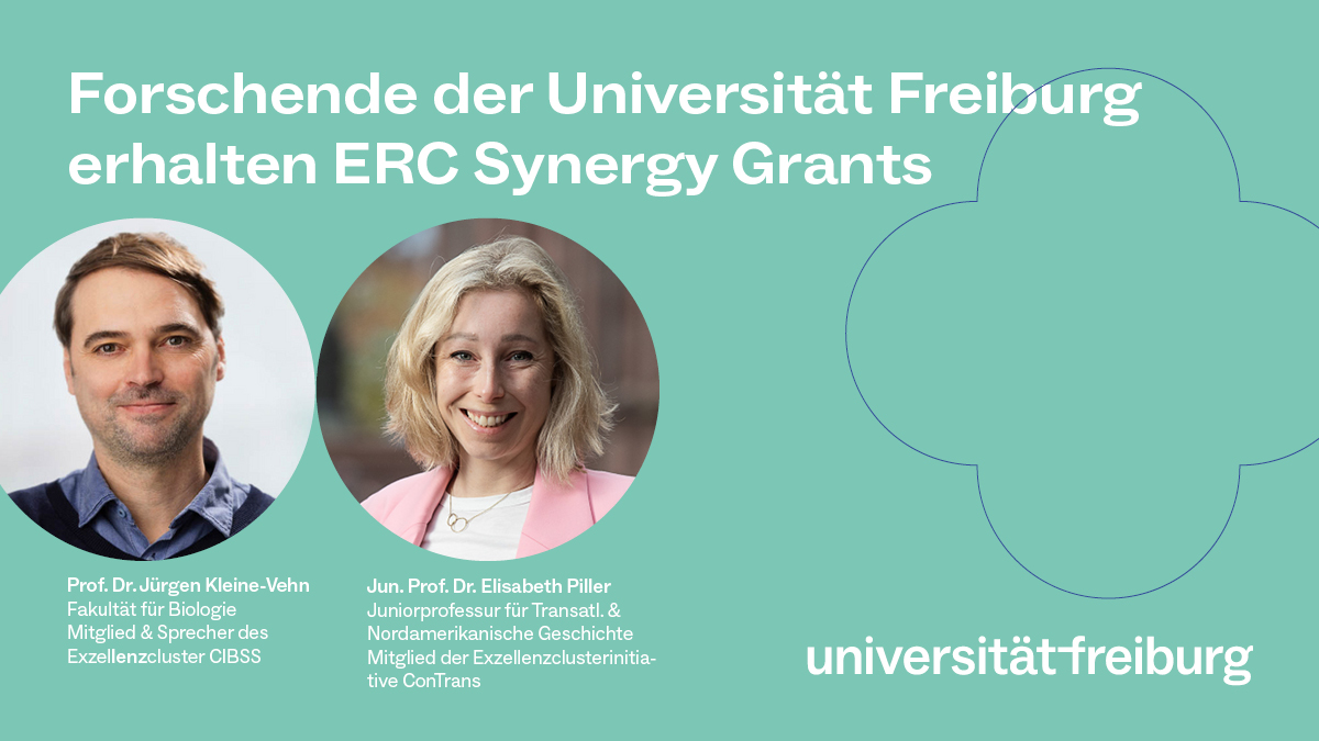 Universität Freiburg (@unifreiburg) on Twitter photo ERC Synergy Grants für Forschende der #UniFreiburg: <a href="/ERC_Research/">European Research Council (ERC)</a> zeichnet internationale & interdisziplinäre Teams aus. Glückwunsch an Jürgen Kleine-Vehn <a href="/KleineVehnLab/">Kleine-Vehn Lab</a> <a href="/CIBSS_UniFR/">CIBSS</a> <a href="/BUnifr/">Faculty of Biology - University of Freiburg</a> und Elisabeth Piller <a href="/elisabmpiller/">Elisabeth Piller</a> (Clusterinitiative ConTrans). ufr.link/erc-synergy-24 ERC Synergy Grants für Forschende der #UniFreiburg: <a href="/ERC_Research/">European Research Council (ERC)</a> zeichnet internationale & interdisziplinäre Teams aus. Glückwunsch an Jürgen Kleine-Vehn <a href="/KleineVehnLab/">Kleine-Vehn Lab</a> <a href="/CIBSS_UniFR/">CIBSS</a> <a href="/BUnifr/">Faculty of Biology - University of Freiburg</a> und Elisabeth Piller <a href="/elisabmpiller/">Elisabeth Piller</a> (Clusterinitiative ConTrans). ufr.link/erc-synergy-24