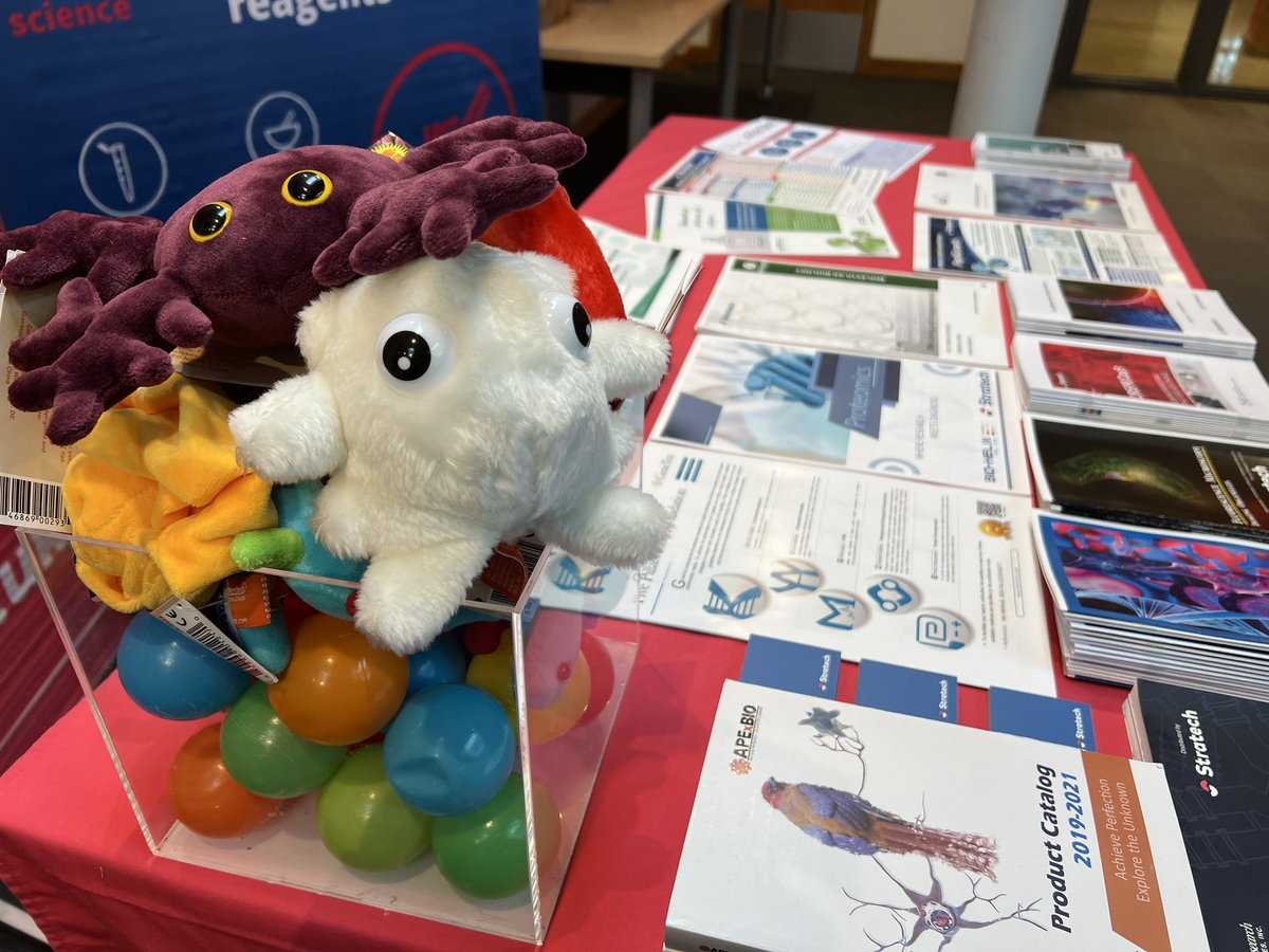 Adam Stratech tweet media