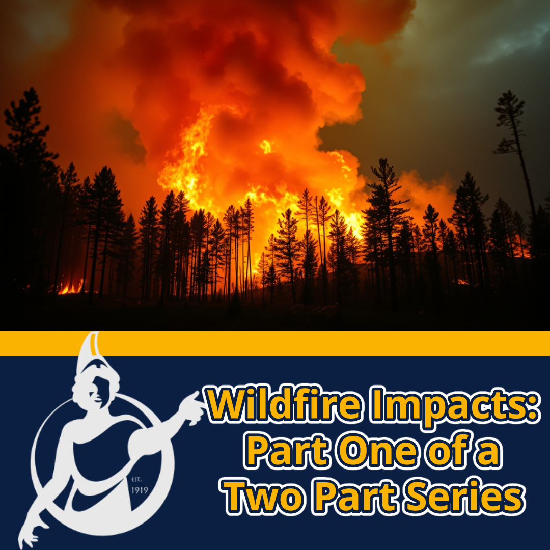 Wildfire Impacts: Part One of a Two Part Series - Check out the full article on our website: carolinianuncg.com/2024/11/04/wil…
