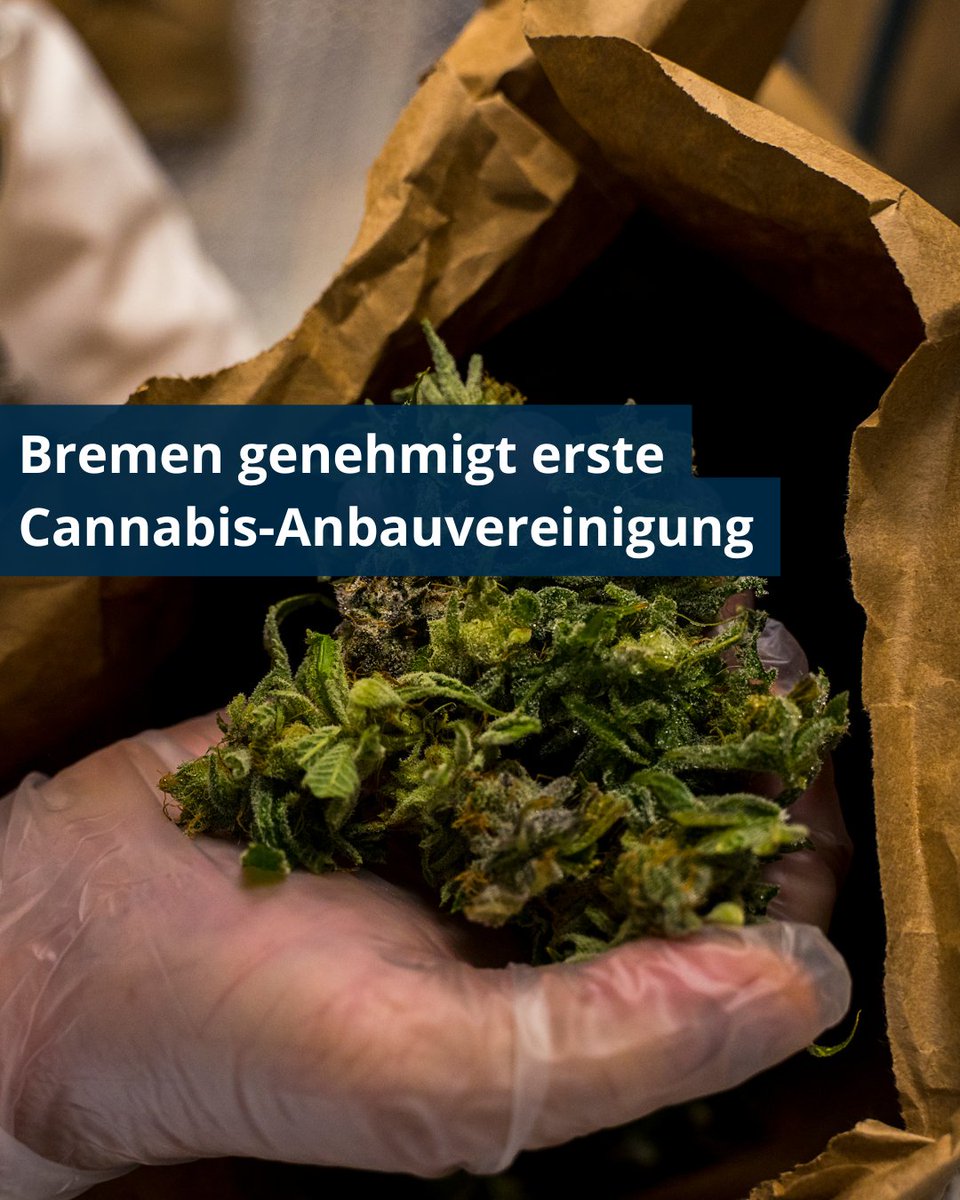 Das Gesundheitsressort hat den ersten Antrag zum Betreiben einer Cannabis-Anbauvereinigung im Land Bremen genehmigt: Der Verein Hanse High e.V. darf den Anbau von Cannabis ab jetzt starten. Die Erlaubnis wird für sieben Jahre erteilt.
senatspressestelle.bremen.de/pressemitteilu…