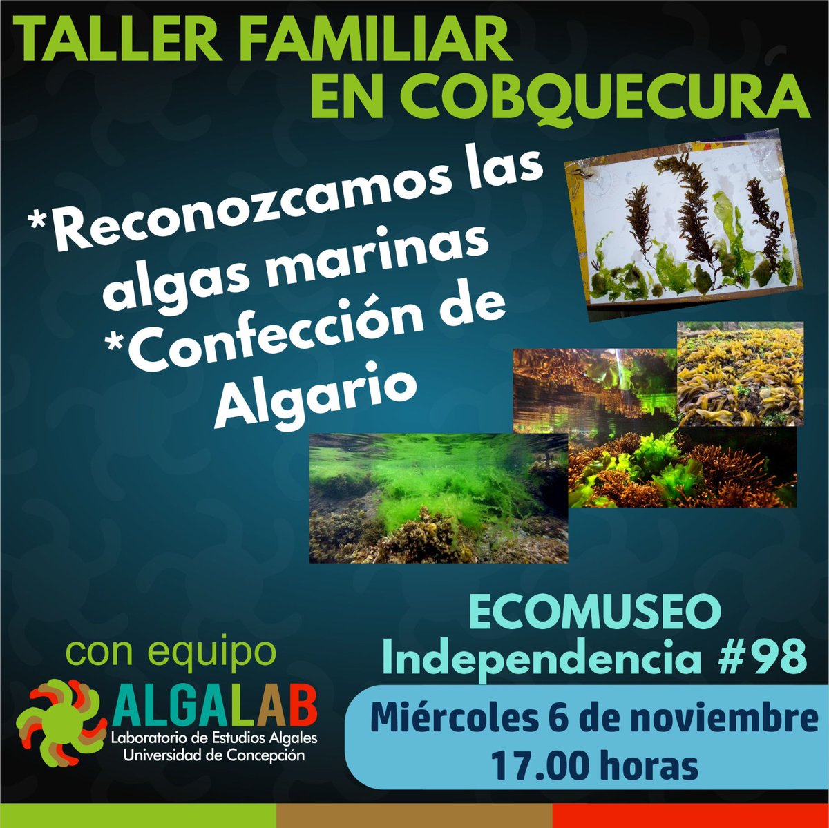 Algalab (@algalab) on Twitter photo Mañana en #Cobquecura 🙂
Mas info aquí 👉 instagram.com/p/DB-F3A7OrMw/… Mañana en #Cobquecura 🙂
Mas info aquí 👉 instagram.com/p/DB-F3A7OrMw/…