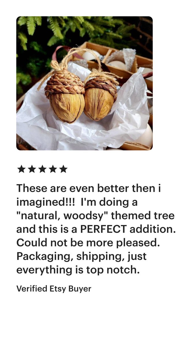BiancaSteinfeld's tweet image. 😍❤️ Love this new review! #ornaments #EtsyTeamUNITY #SMILEtt23 #review #5star #acorn #mushroom #christmasdecor