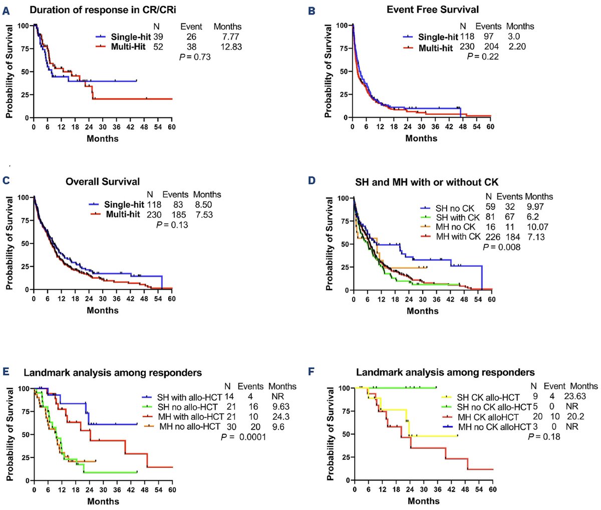 TalhaBadarMD's tweet photo. 🚨 📢 Finally available online, free access: Prognostic impact of ‘multi-hit’ versus ‘single-hit’ TP53 alteration in patients with acute myeloid leukemia: results from the Consortium on Myeloid Malignancies and Neoplastic Diseases (COMMAND)

We analyzed: 
1. Impact of allelic burden on outcome including transplant. 
2. Outcome with or without complex CG
3. Impact of concurrent somatic mutation on outcome. 

#leusm #TP53 #AML 

https://t.co/40I1SyJAQl