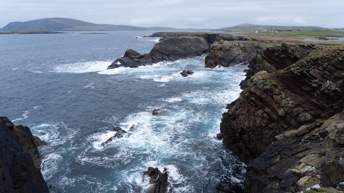 Ross Mackenzie tweet media