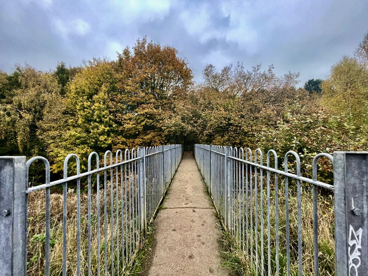 The bridge at Haw Park Woods near Cold Hiendley
<a href="/WkfdOfficial/">Wakefield Official News</a>