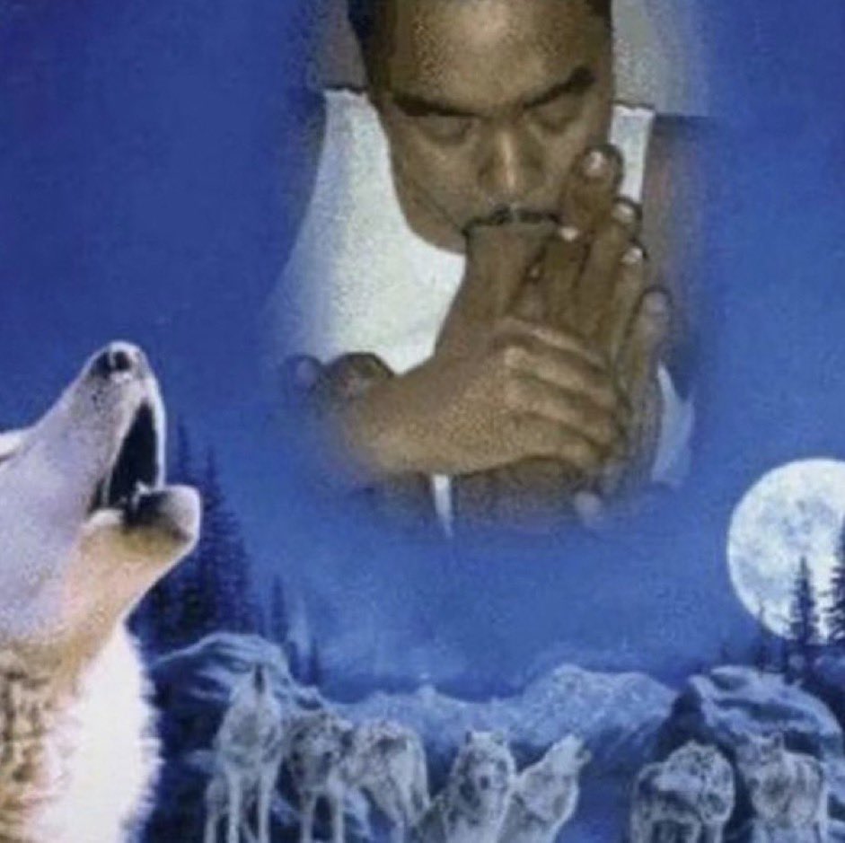 any 𝚿 tweet media