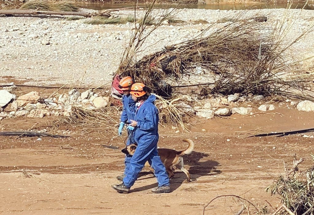 Continuem treballant nit i dia al sector de #Picanya:
Aquesta nit hem estat traient aigua de baixos en edificacions, tasca que continua al llarg del dia d'avui.
Parel·lelament fem batudes de recerca amb la nostra unitat K9 (unitat canina), sempre coordinats amb el PMA.