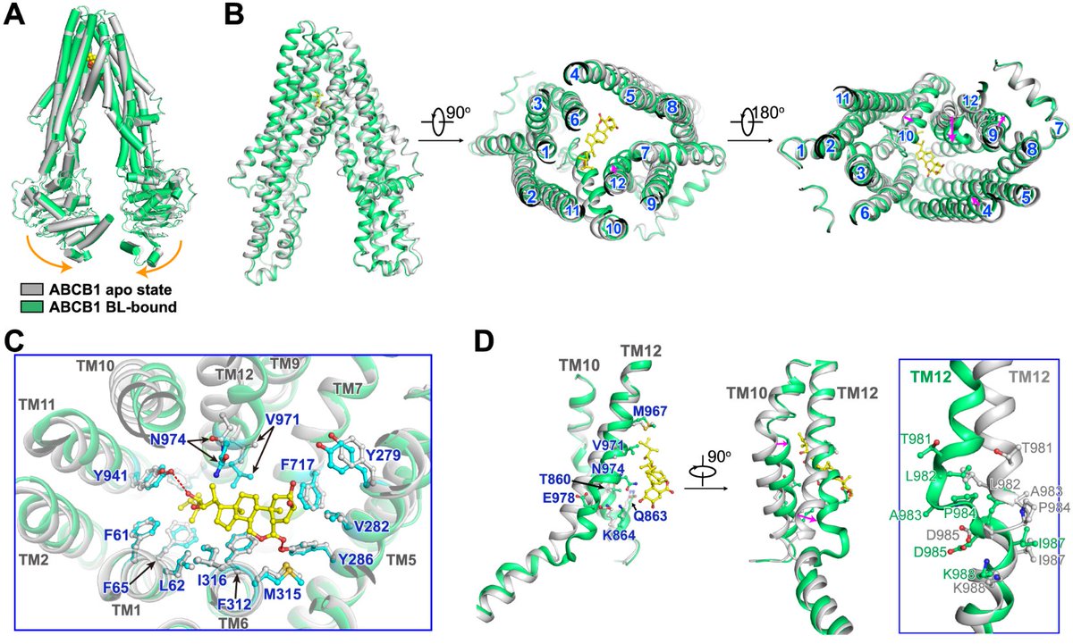 Molecular Plant & Plant Communications tweet media